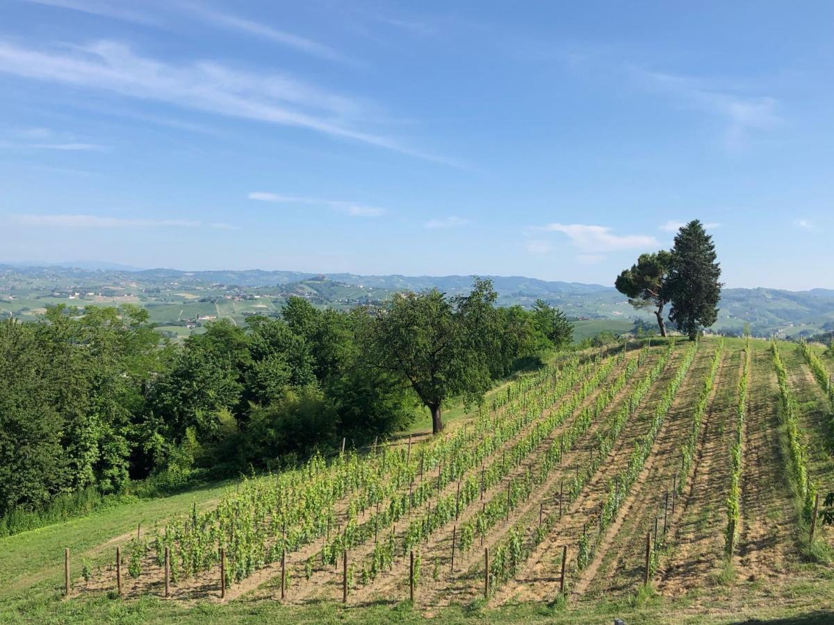 Cascina San Michele Bed & Breakfast Costigliole d'Asti Ngoại thất bức ảnh