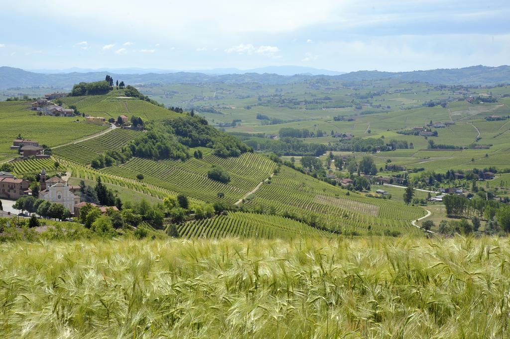 Cascina San Michele Bed & Breakfast Costigliole d'Asti Ngoại thất bức ảnh